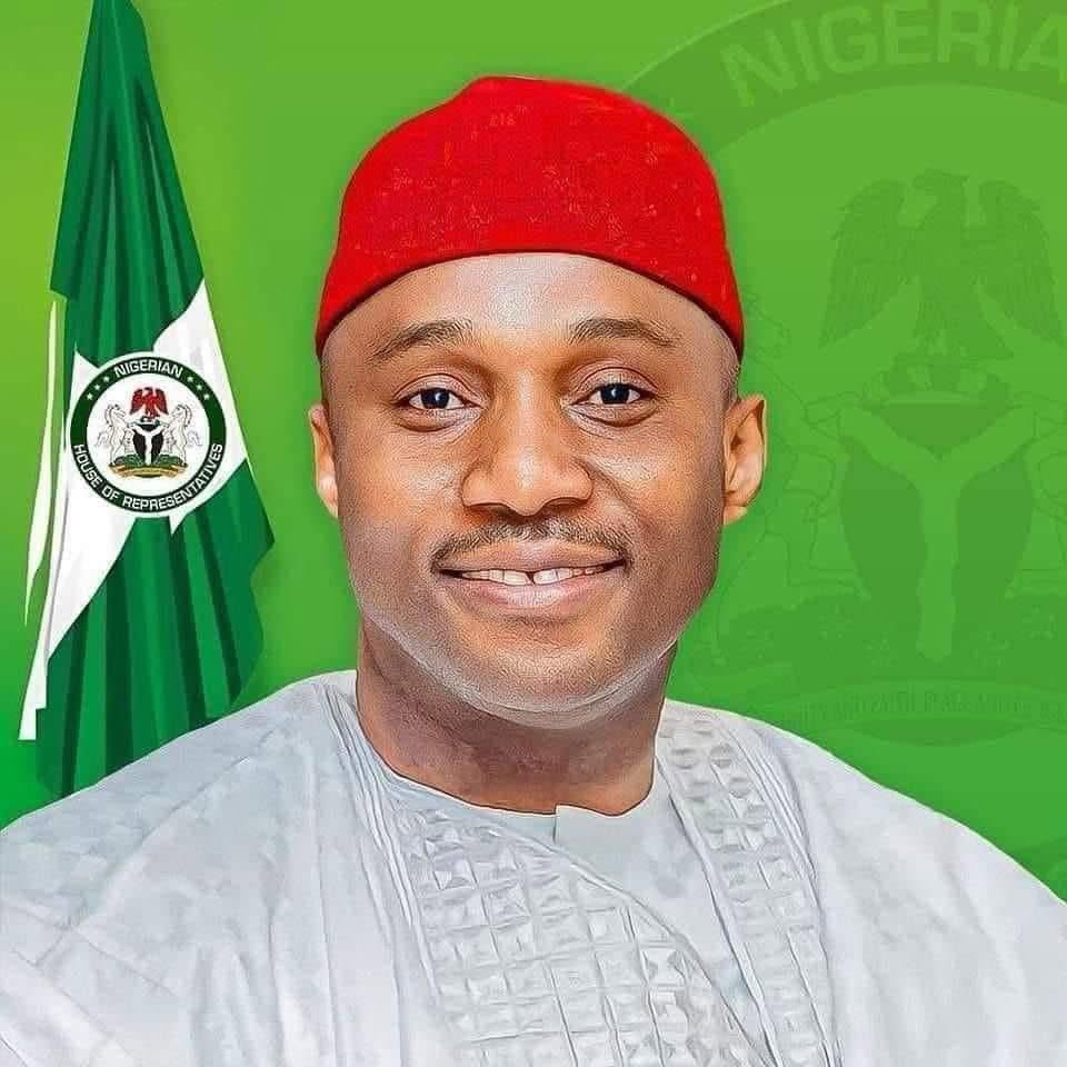 Hon. Dozie Nwankwo campaign portrait
